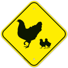 Hen And Chicks Graphic Sign Hen And Chicks Graphic Sign