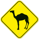 Camel With Graphic Sign Camel With Graphic Sign