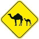 Camel With Calf Crossing Sign Camel With Calf Crossing Sign