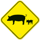 Pigs Graphic Sign Pigs Graphic Sign