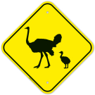 Ostrich With Chick Crossing Sign Ostrich With Chick Crossing Sign
