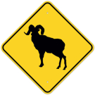 MUTCD Bighorn Sheep W11-18 Sign MUTCD Bighorn Sheep W11-18 Sign