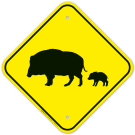 Pig Crossing Sign